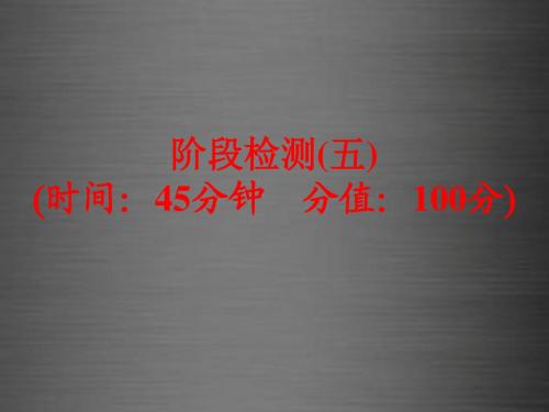 【备战策略】2016中考化学一轮复习 教材梳理阶段练习 阶段检测(五)课件 鲁教版