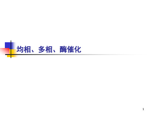 均相、多相和酶催化