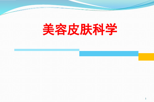 损美性皮肤病的病因与诊断PPT幻灯片课件