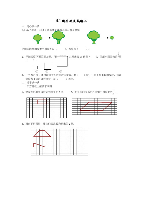 六年级上册5.1图形放大或缩小练习题及答案西师大版