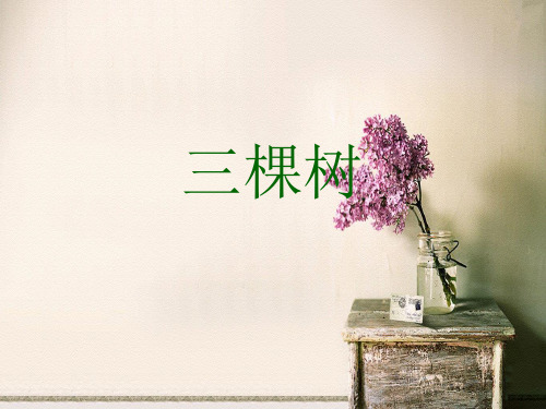 三棵树PPT教学课件
