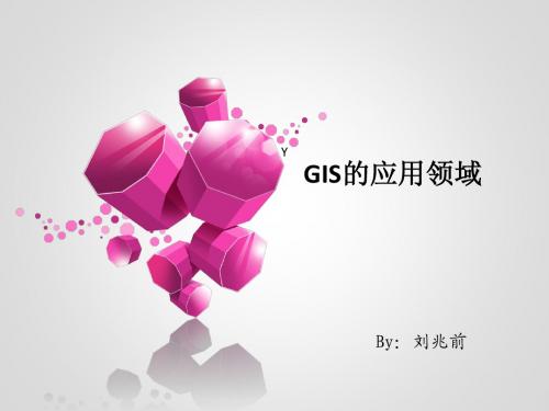 地理信息系统(GIS)的应用