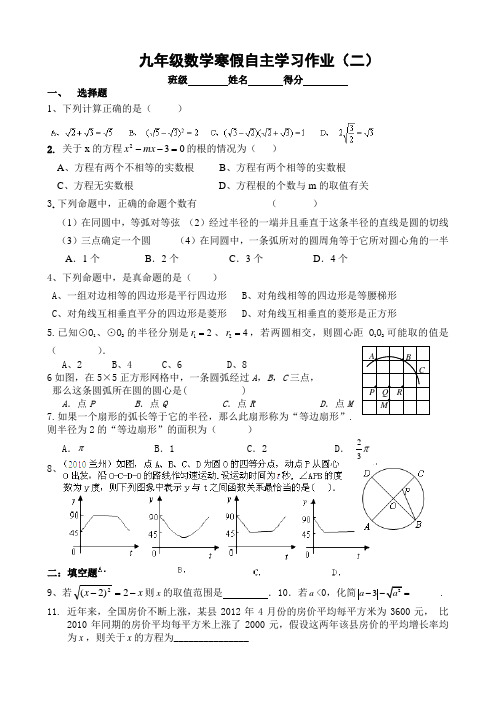 九年级数学寒假自主学习作业2