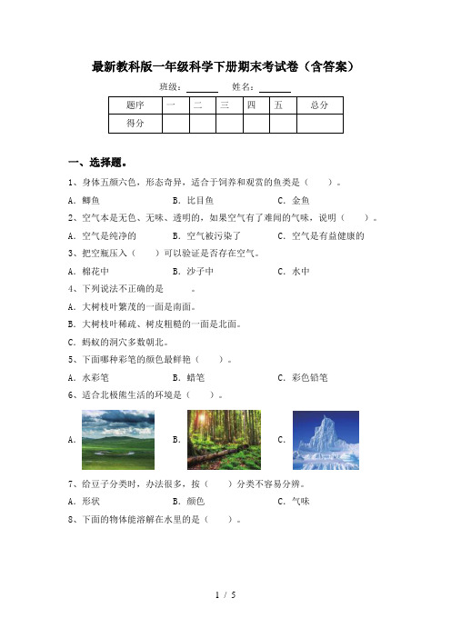 最新教科版一年级科学下册期末考试卷(含答案)