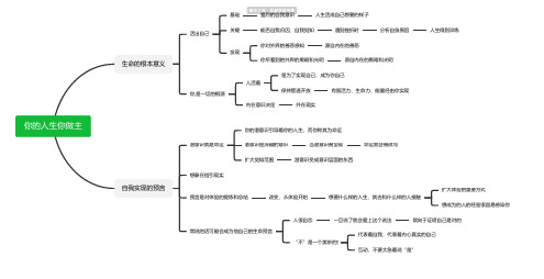 你的人生你做主思维导图-高清简单脑图模板-知犀思维导图