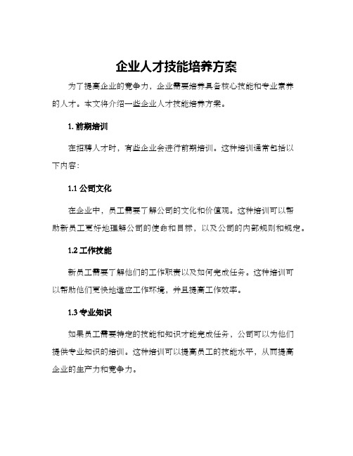 企业人才技能培养方案