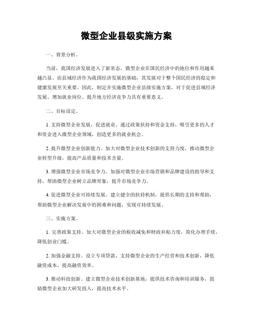 微型企业县级实施方案