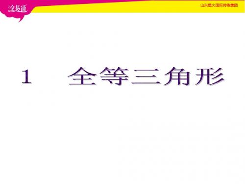 鲁教七下课件第十章1  全等三角形