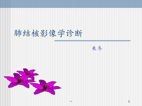 肺结核的影像学诊断(PPT)