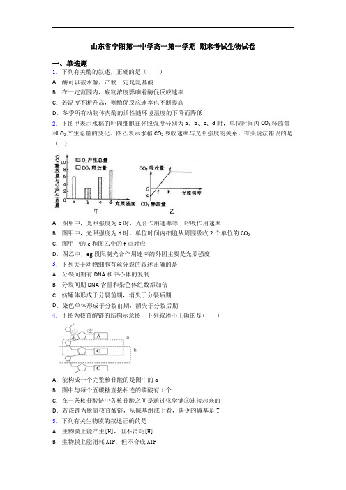 山东省宁阳第一中学高一第一学期 期末考试生物试卷