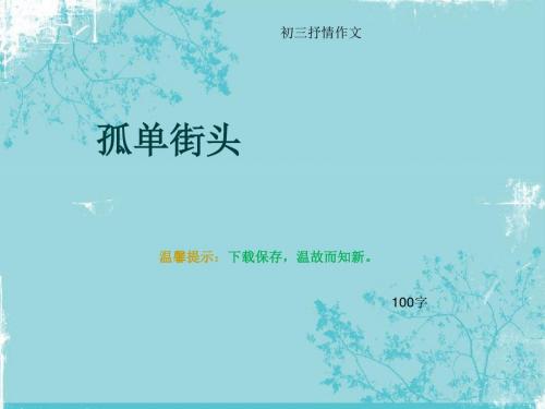 初三抒情作文《孤单街头》100字(总5页PPT)