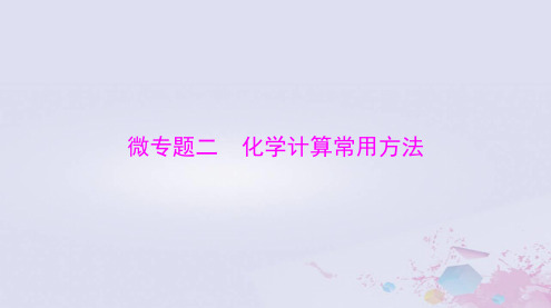 2024届高考化学一轮总复习第二章物质的量微专题二化学计算常用方法课件