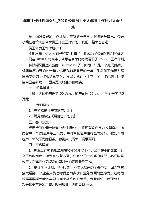 年度工作计划怎么写_2020公司员工个人年度工作计划大全5篇