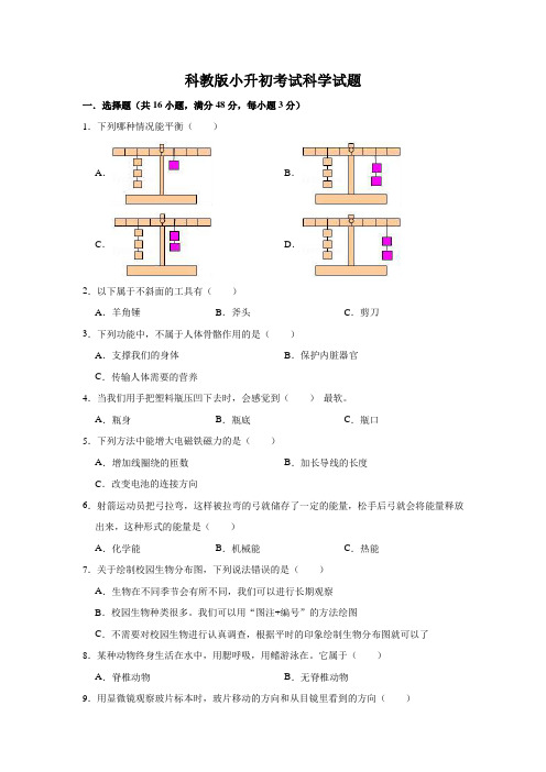 科教版小升初科学试卷(含答案)