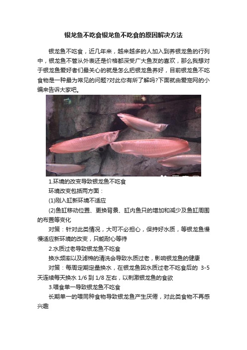 银龙鱼不吃食银龙鱼不吃食的原因解决方法