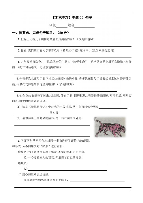 【六年级语文下册期末专项】专题02 句子 六年级语文下册(含答案)部编版