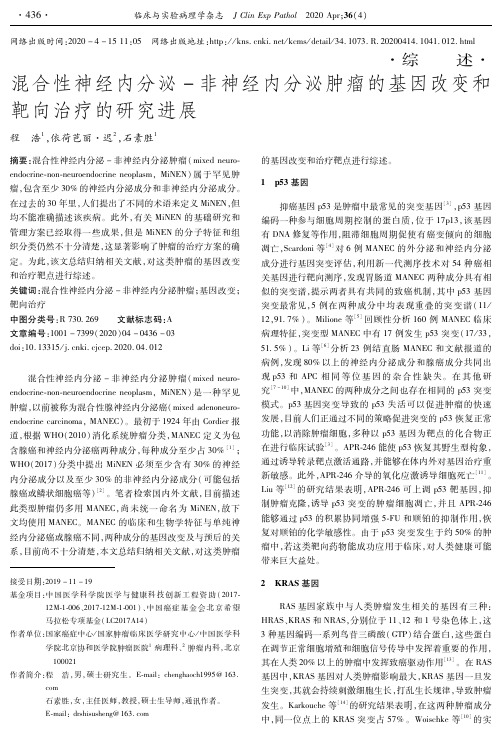 混合性神经内分泌-非神经内分泌肿瘤的基因改变和靶向治疗的研究进展