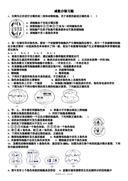 (完整版)减数分裂习题