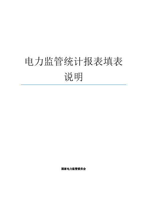 电力监管统计报表填表说明