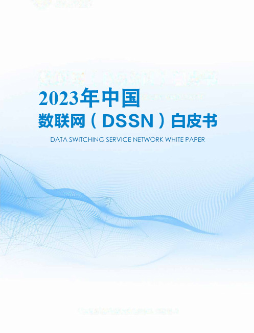 2023年中国数联网DSSN发展白皮书