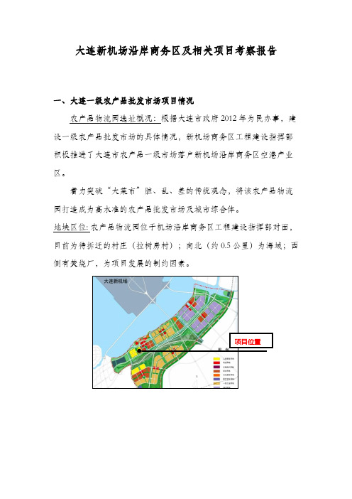 大连新机场沿岸商务区考察报告