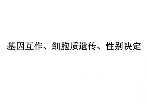 基因互作、细胞质遗传、性别决定