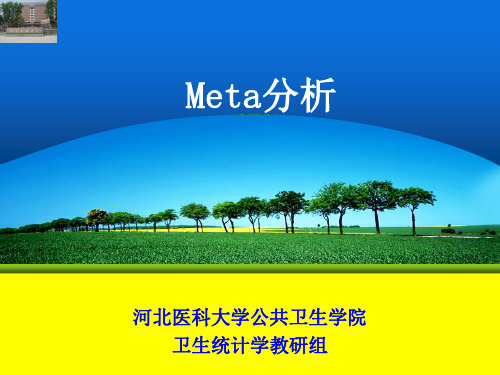 Meta分析