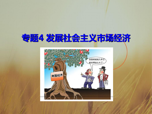 2019版高考政治A版一轮总复习课件：专题4 发展社会主义市场经济共91张 精品