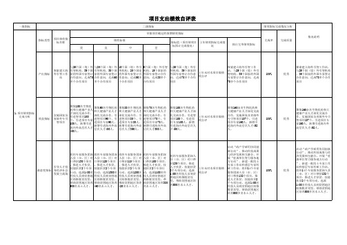 项目支出绩效自评表