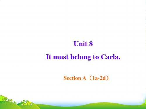 人教英语九年级全一册Unit8Section A 1a — 2d(共52张PPT)