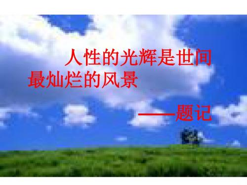 高二语文金岳霖先生(新编2019)