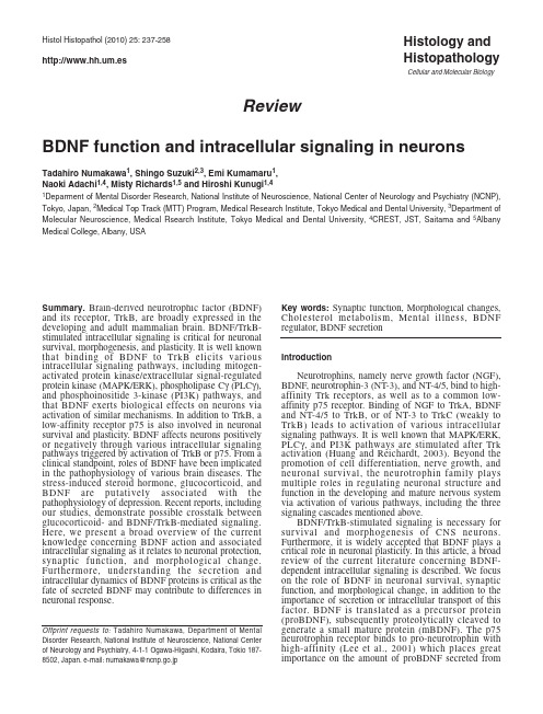 2010-rev-BDNF function and intracellular signaling in neurons