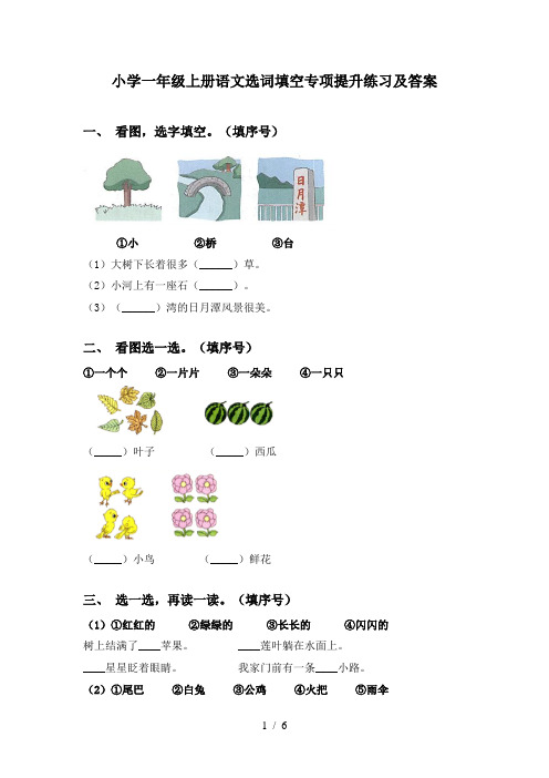 小学一年级上册语文选词填空专项提升练习及答案