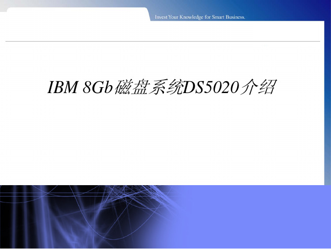 IBM DS5020存储详细参数详述 中文 产品详细说明--足够详细 官网只有英文的哦