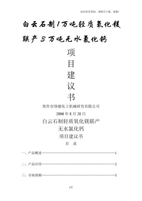 白云石制1万吨轻质氧化镁联项目报告