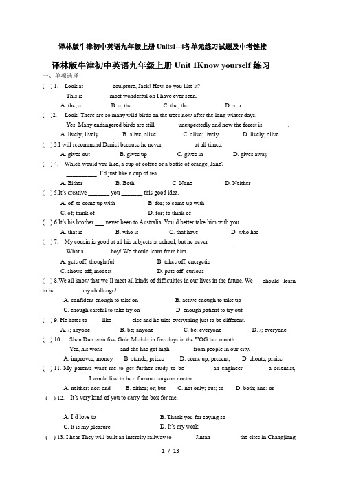 译林版牛津初中英语九年级上册Units1--4各单元练习试题及中考链接(无答案)