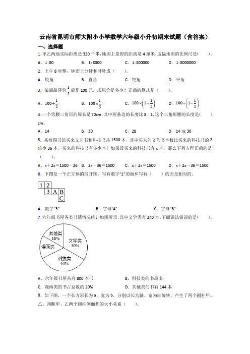 云南省昆明市师大附小小学数学六年级小升初期末试题(含答案)