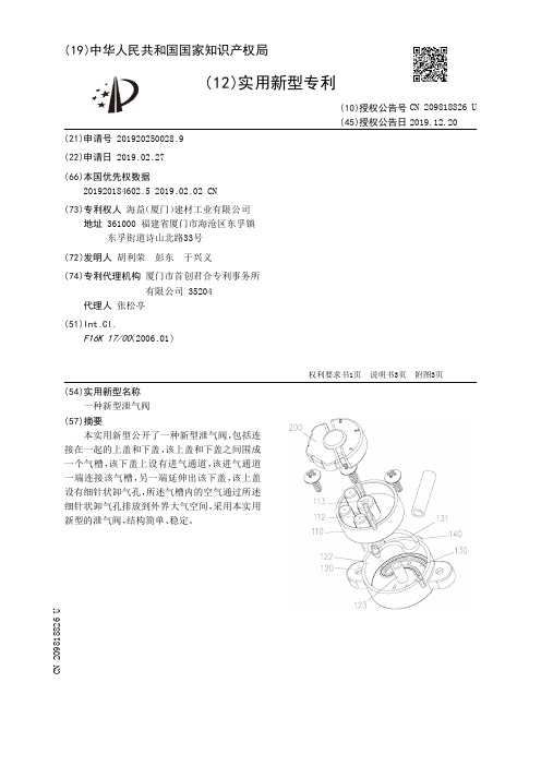 【CN209818826U】一种新型泄气阀【专利】