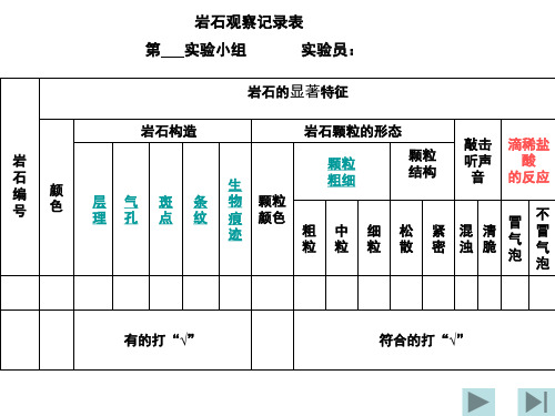 教科版小学科学四年级下册第四单元《认识几种常见的岩石》PPT课件