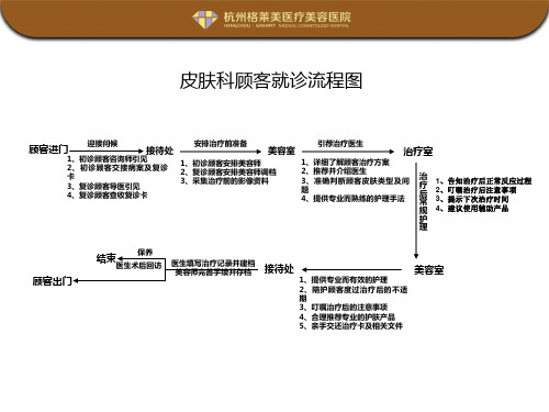 美容医院皮肤科顾客就诊流程图范例