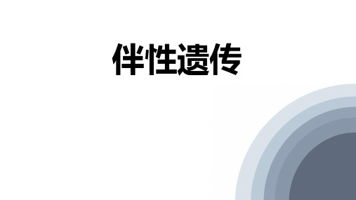 人教版高中生物必修二 伴性遗传 基因和染色体的关系 课件