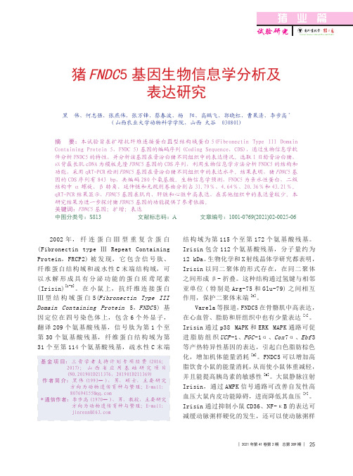 猪FNDC 5基因生物信息学分析及表达研究