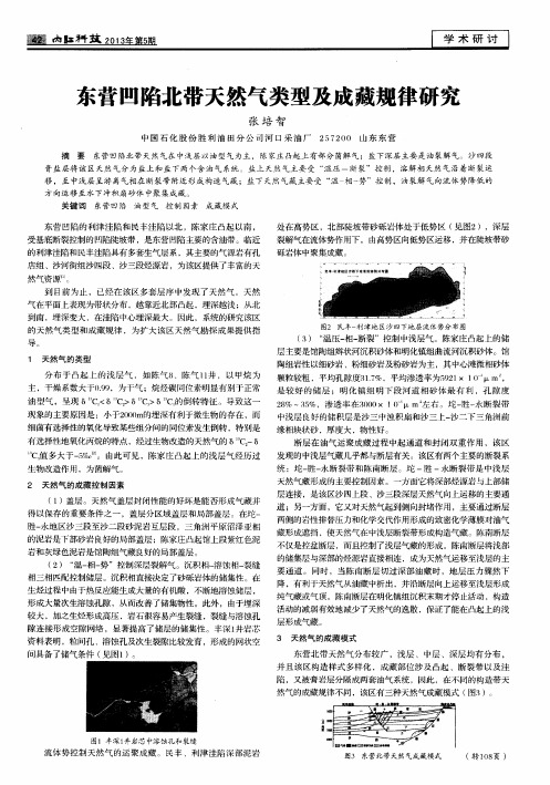 东营凹陷北带天然气类型及成藏规律研究