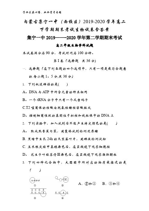 集宁一中(西校区)2019-2020学年高二下学期期末考试生物试卷含答案