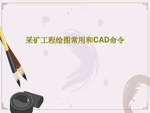 采矿工程绘图常用和CAD命令42页PPT