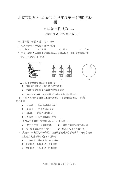 北京市朝阳区2018~2019学年度第一学期期末检测及答案