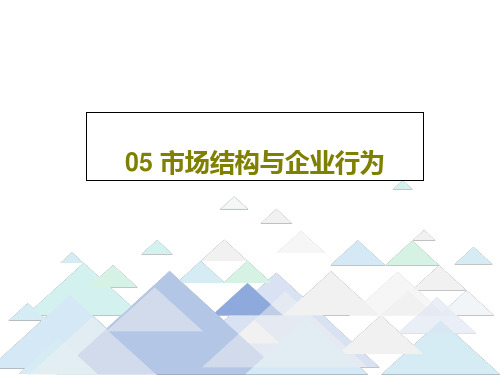 05 市场结构与企业行为共82页文档