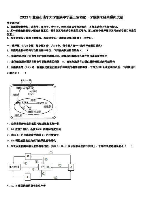 2023年北京市清华大学附属中学高三生物第一学期期末经典模拟试题含解析