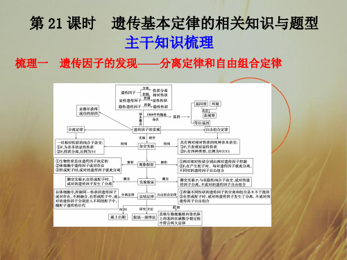 最新-2018高三生物一轮复习 第六单元 第21课时遗传基本定律的相关知识与题型课件  精品 