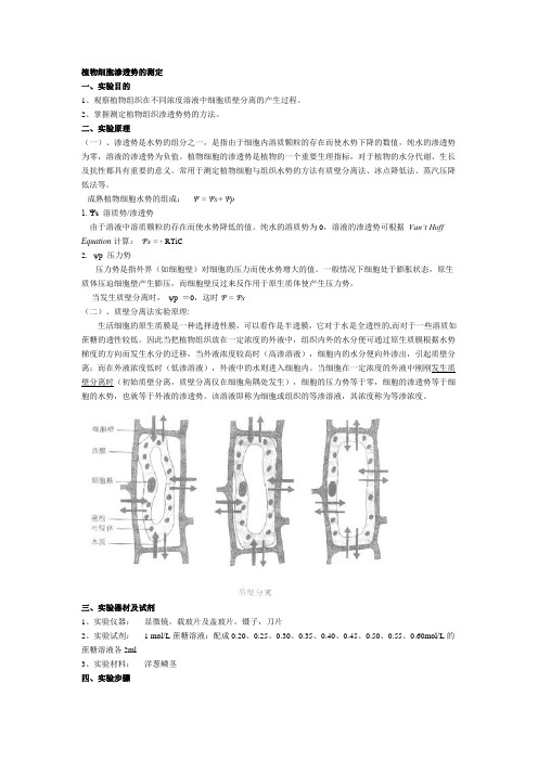 植物细胞渗透势的测定(精)